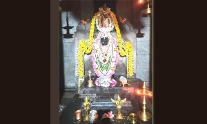 ಭದ್ರಗಿರಿ ಶ್ರೀ ವೀರ ವಿಠಲ ದೇವಳಾಂತು° ಪುನರ ಪ್ರತಿಷ್ಠಾ ವರ್ಧಂತಿ