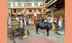 ಉಡುಪಾಂತು° ಗೋಪೂಜಾ