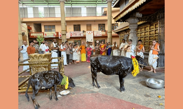 ಉಡುಪಾಂತು° ಗೋಪೂಜಾ